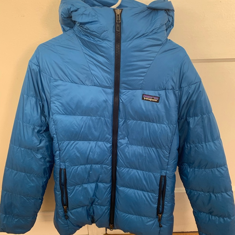 Patagonia Fitz Roy Down Parka